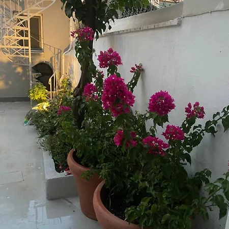 Apartament Alexandra Atena